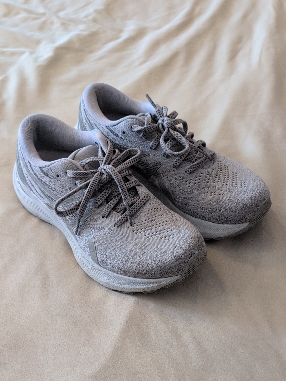 Asics Kayano 29 Gray